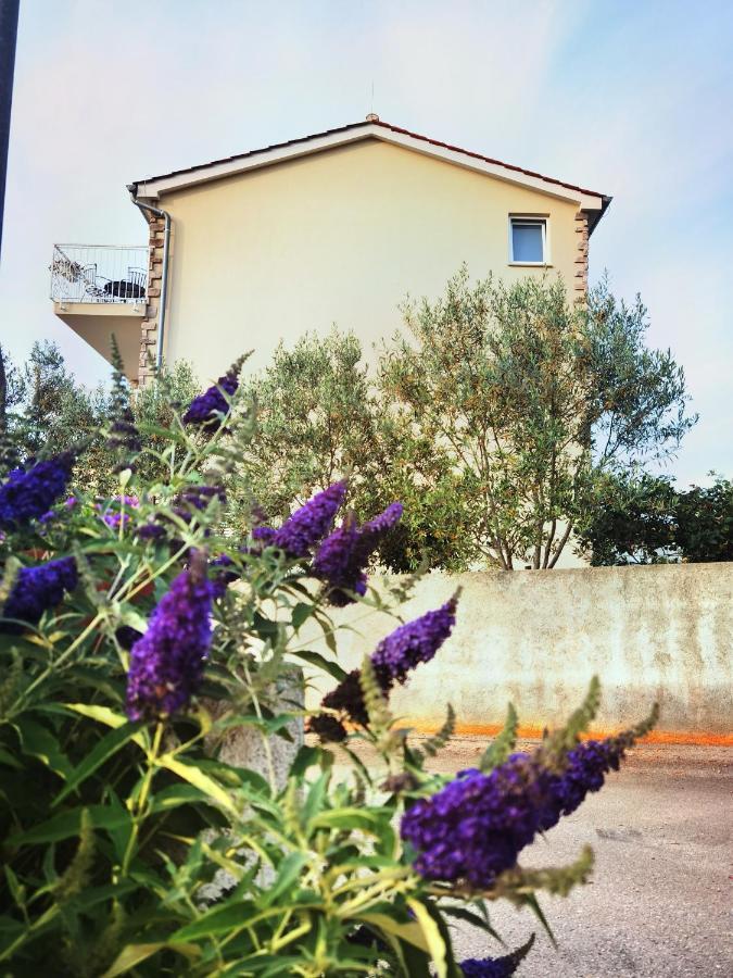 Guesthouse Olei 马林斯卡 外观 照片